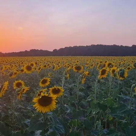La Thomaserie * La Chevrolière
